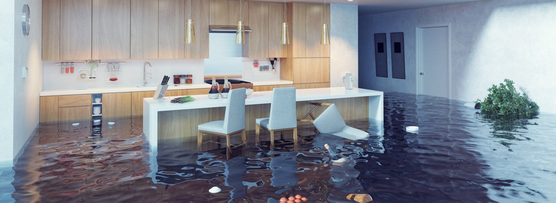 Flooded Kitchen - Sunshine Coast Plumbing and Gas Experts